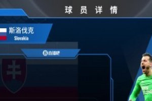 杜布拉夫卡球员集锦：近距离扑救出色 二次反应极快的门将